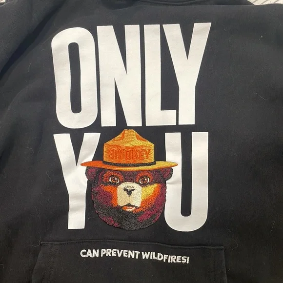 Teddy fresh Smokey the bear hoodie - Picture 2 of 4
